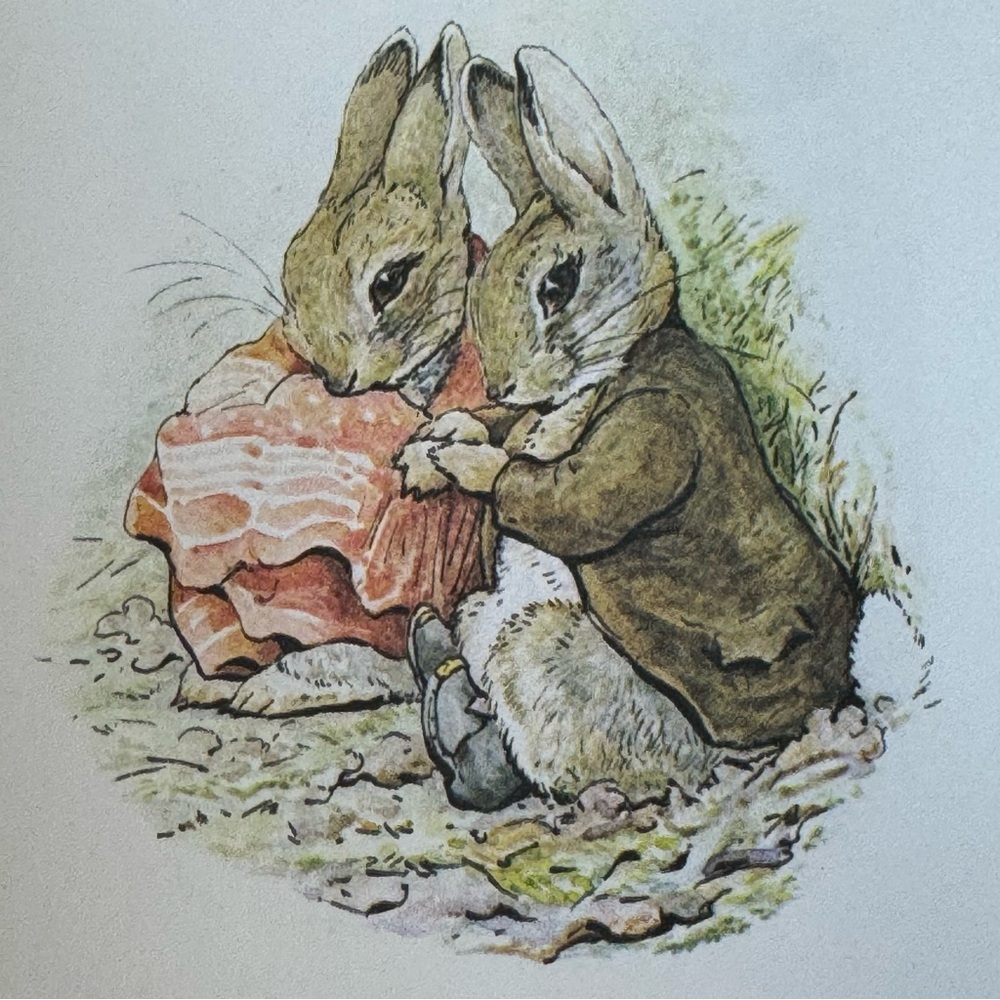 The Tale of Benjamin Bunny and Jemima Puddle-Duck Books 1992 - Picture 5 of 10